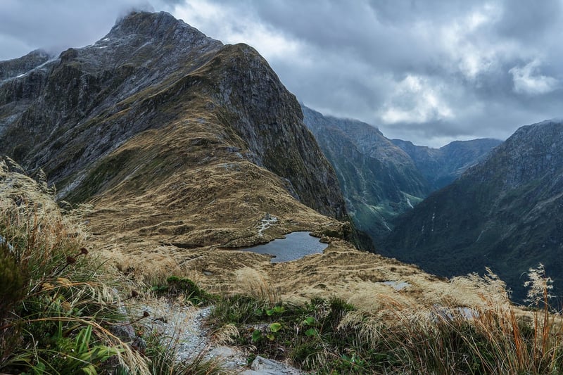 Thrilling Landscape